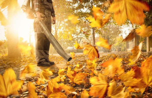 Leaf Blowing Service in Redding