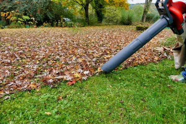 Leaf Vacuuming Service in Redding