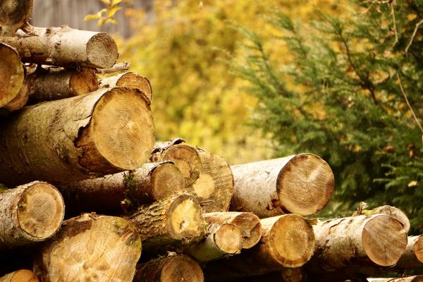 Wood Pile Removal in Redding