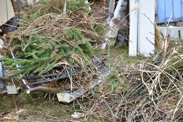 Yard Debris Removal in Redding