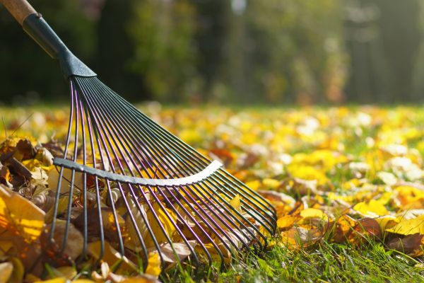 Leaf Raking Service in Redding