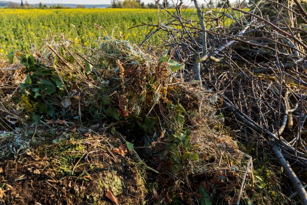 Brush Disposal in Redding