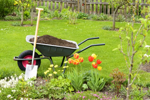Cost of Spring Yard Cleanup in Redding