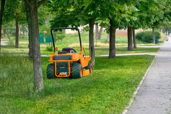Landscaping Cleanup Service in Redding