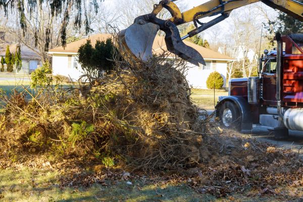 Storm Debris Removal in Redding