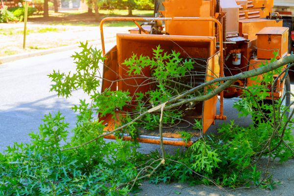 Tree Branches Removal in Redding