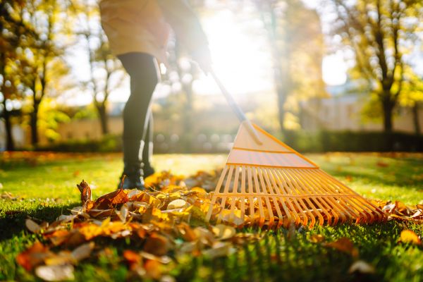 Leaves Raking in Redding