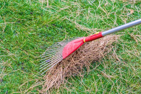 Yard Raking in Redding