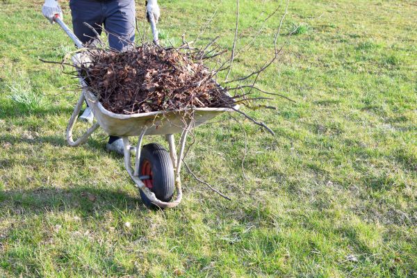 Yard Brush Removal in Redding