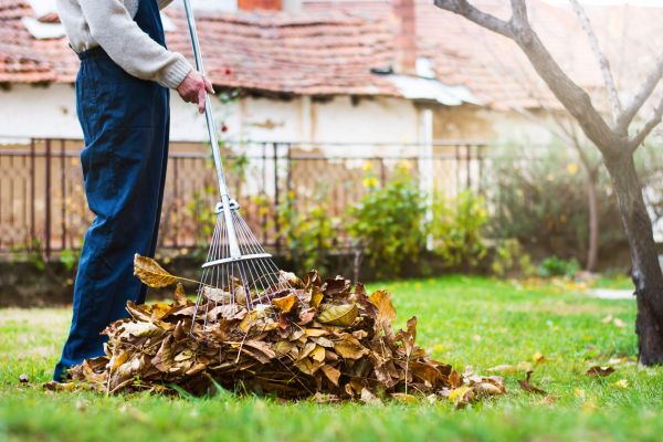 Spring Lawn Cleanup in Redding