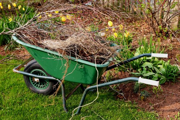 Lawn Waste Removal in Redding