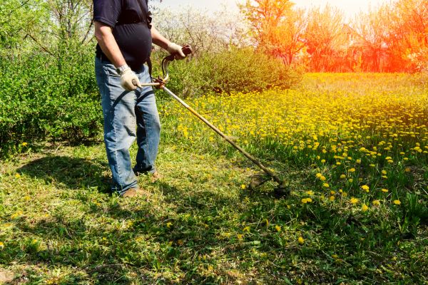 Yard Clearing Service in Redding