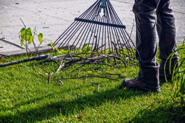 Yard Debris Cleanup in Redding