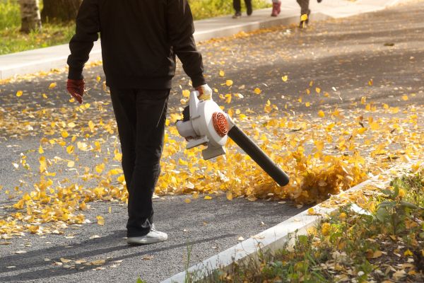 Commercial Leaf Removal in Redding