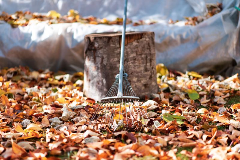 Leaves Raking